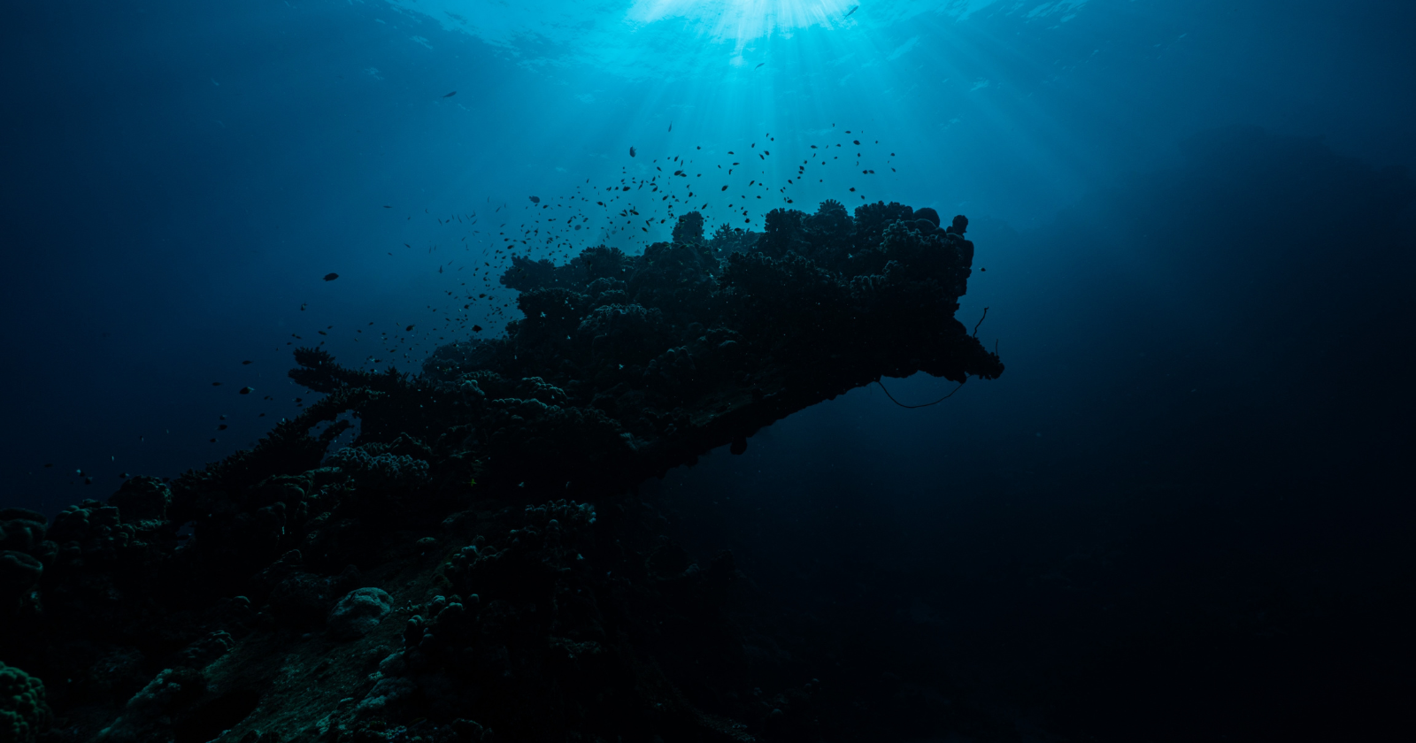 15 Astonishing Facts About the Abyssal Ocean