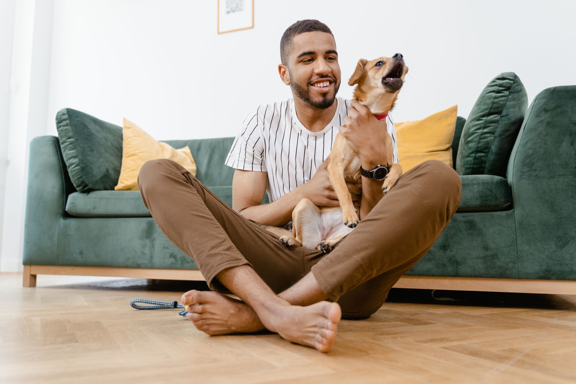 7 Psychological Advantages of Individuals Who Converse with Their Pets as If They Were Human, According to Research