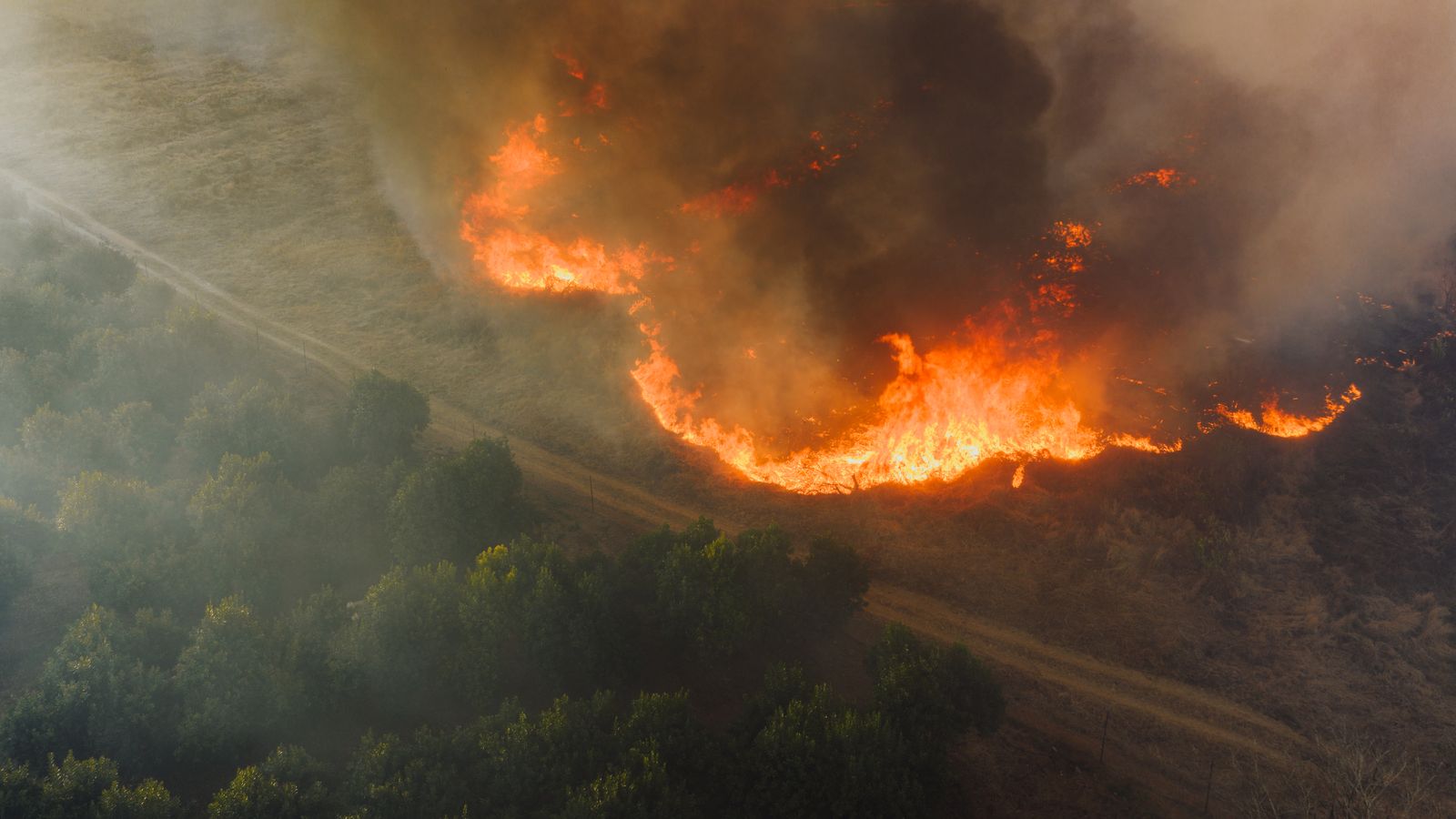 Africa's Wildfire Mitigation Over Two Decades Not Linked to International Climate Regulations
