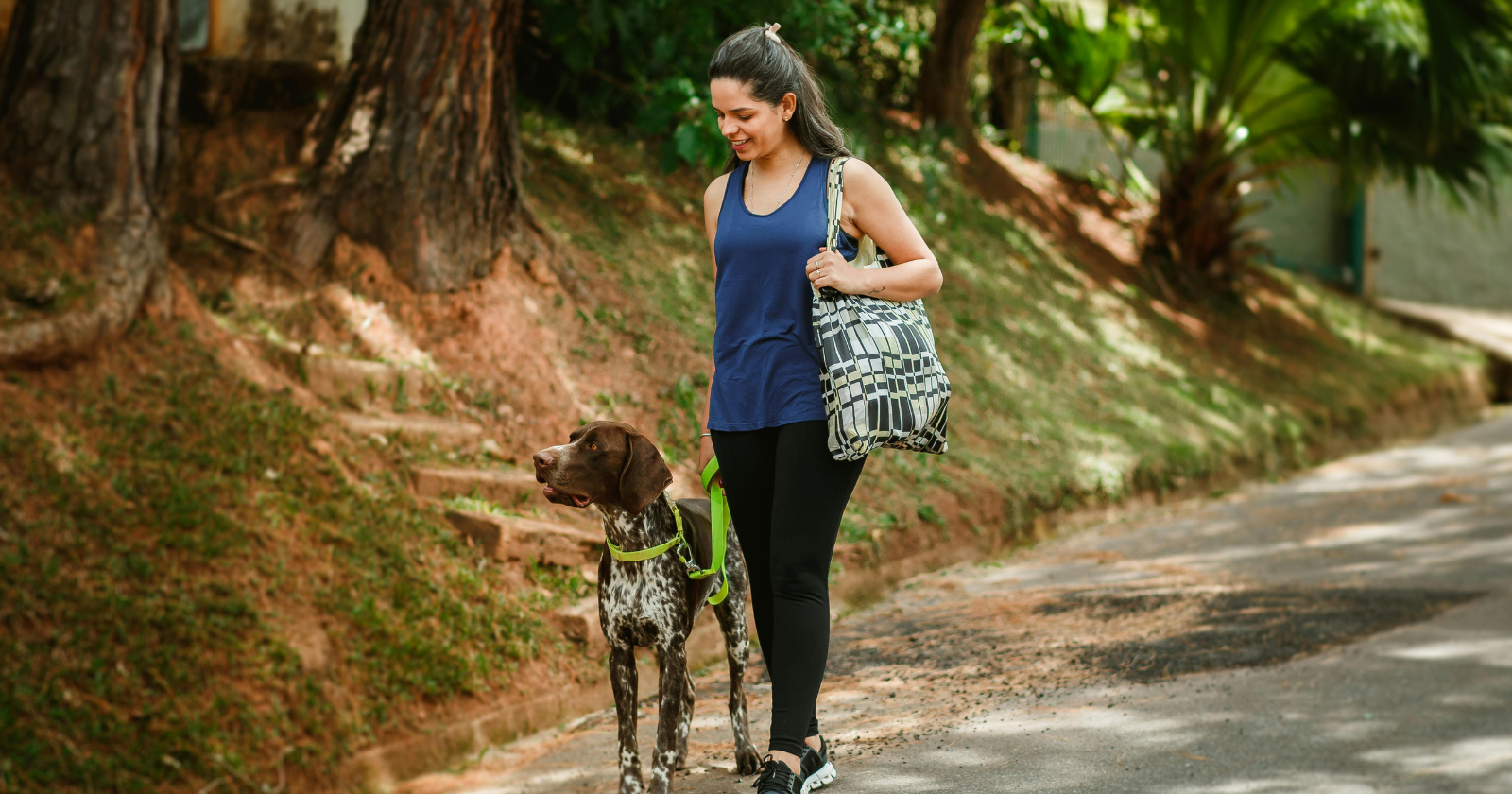 Comprehending Canine Aging: A 2020 Research Indicates a Logarithmic Curve Supersedes the "Seven Human Years" Formula, Emphasizing Swift Aging in Young Canines.