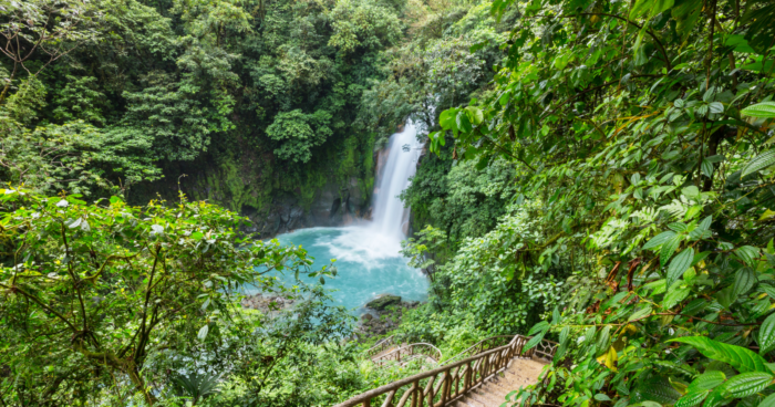 Costa Rica Launches Innovative Payment Initiative to Protect Its Final Remaining Forests