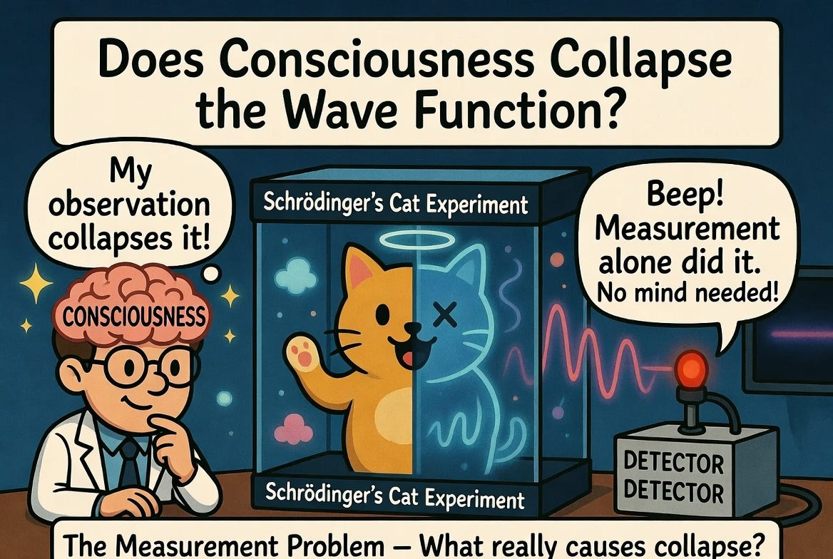 Examining the Function of Consciousness in Wave Function Collapse