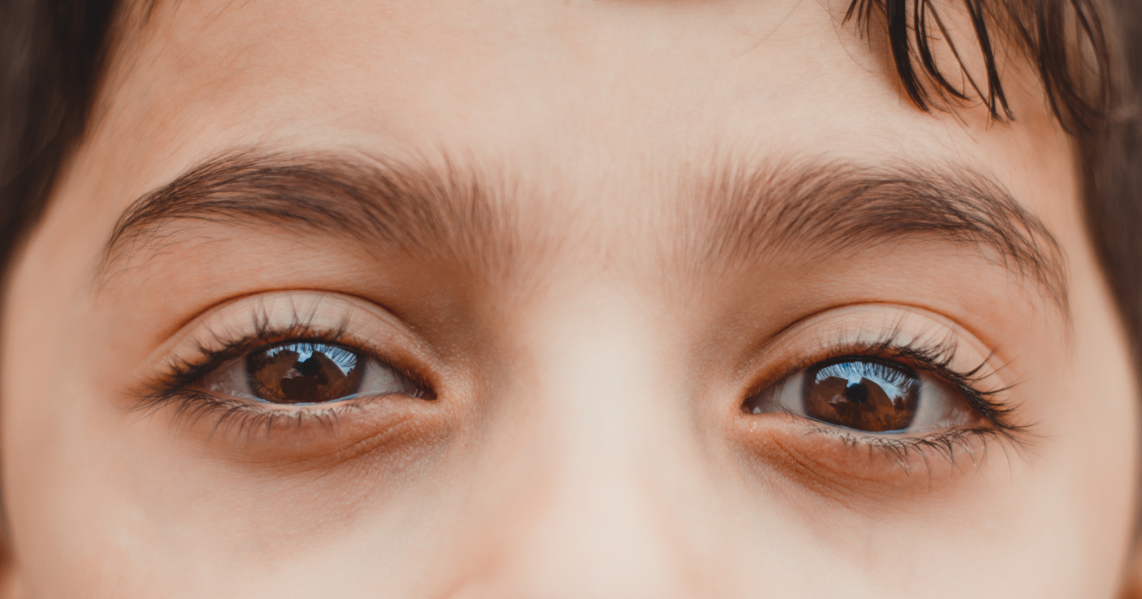 "Experimental Apparatus Sustains Reaction to Illumination in Donor Eyes for 10 Hours without Human Trials"