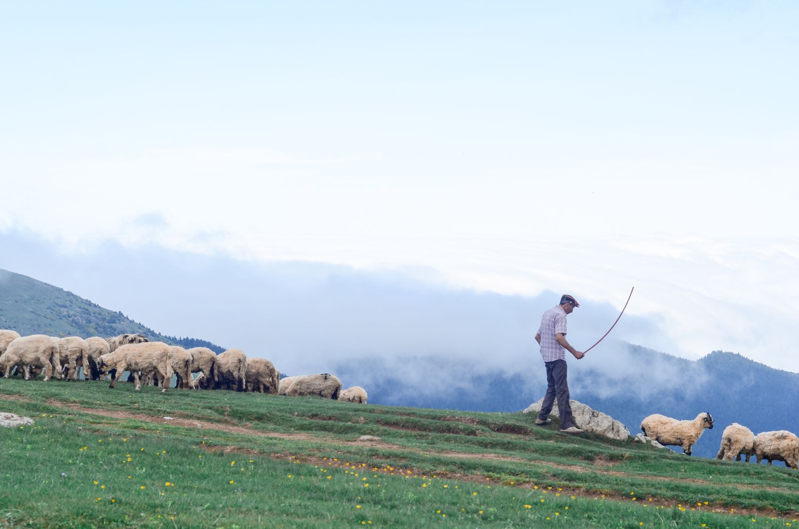 Geneticists Associate Uncommon M26 Y-Chromosome Variant in Sardinian Shepherds with Centenarian Longevity and 10,000-Year Mountain Seclusion
