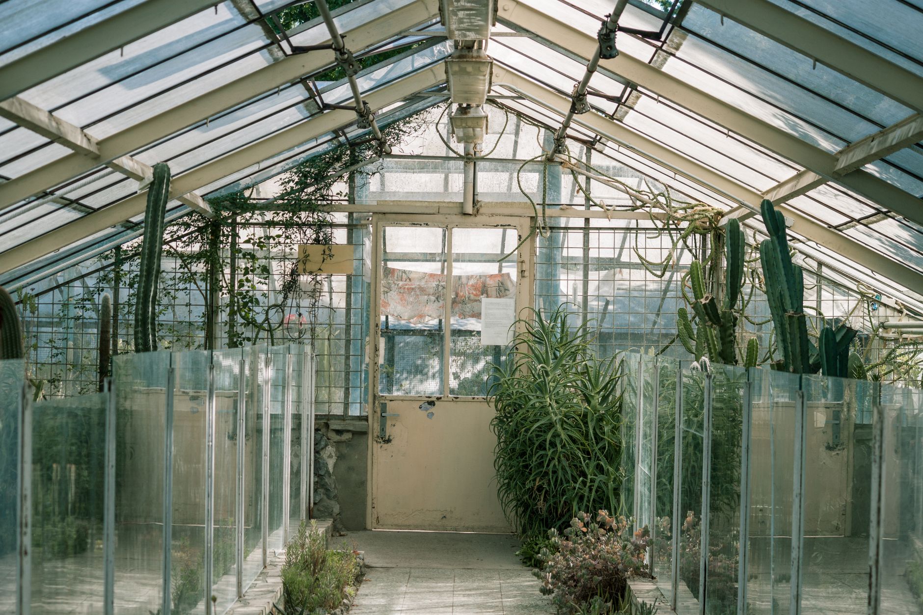 In 1991, a test involving eight individuals in a glass structure located in the Arizona desert almost failed because of a lack of oxygen.