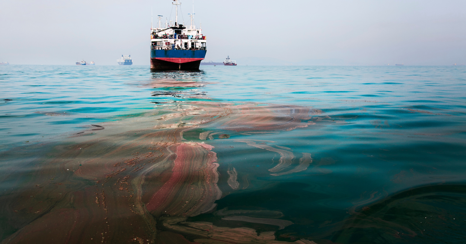 "Netherlands Employs Extensive Sand Deposit in 2011 to Naturally Broaden Coastline Over Twenty Years"