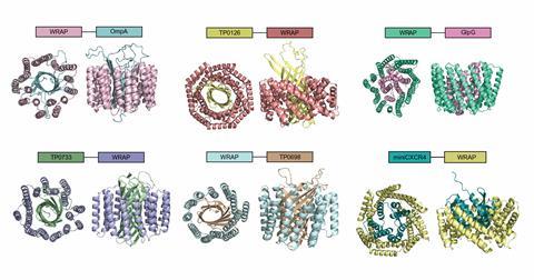 Protein Wrappers Created by AI Address Solubility Challenges of Membrane Proteins