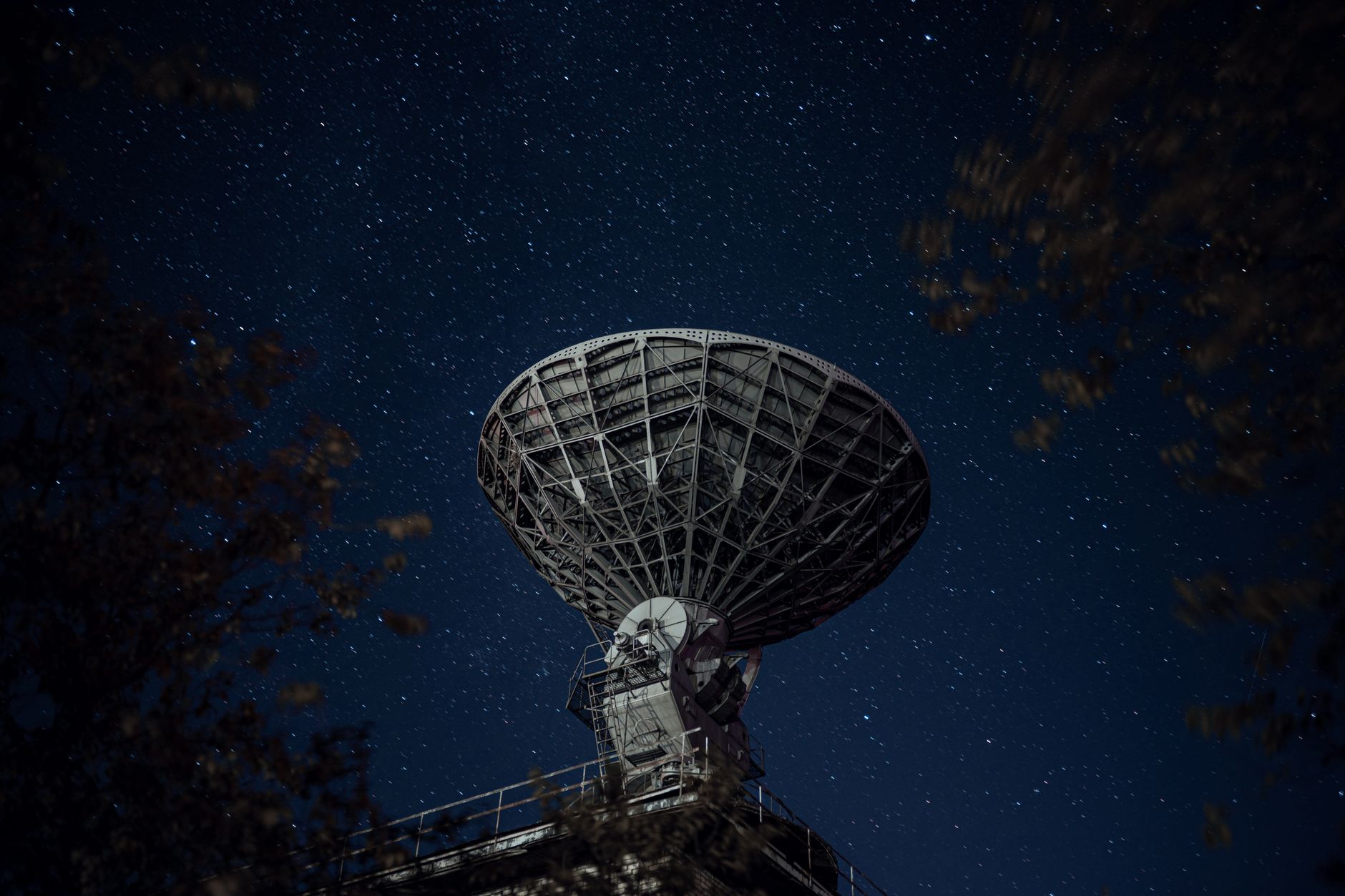 Rare Radio Source 4 Degrees from the Core of the Milky Way Shows Variability in 2020, Displaying Elevated Circular Polarisation and Intense Magnetisation, Lacking X-ray or Infrared Signatures, Posing Challenges to Existing Object Classifications
