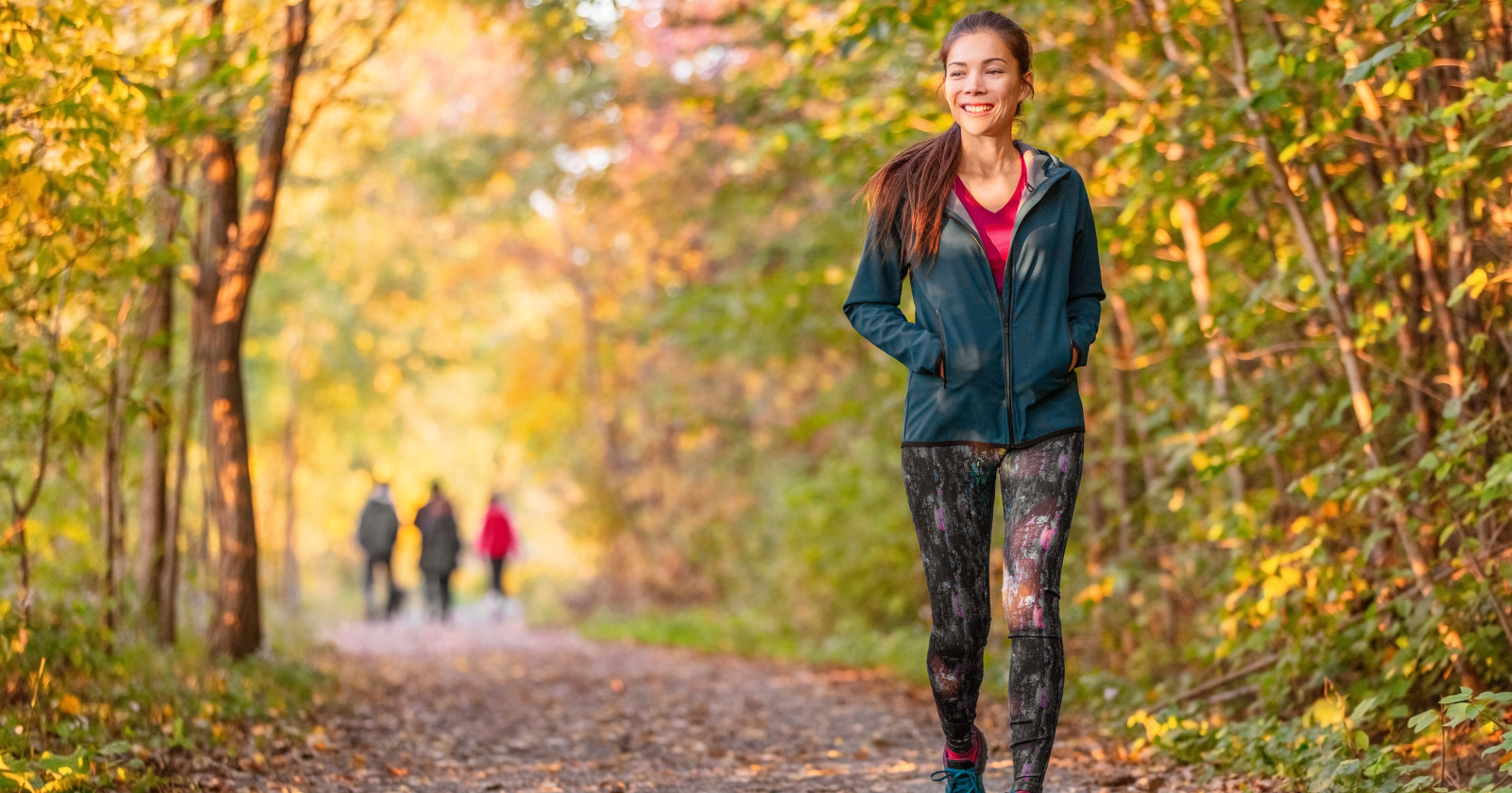 Research Indicates That Strolling in Forests Can Decrease Cortisol Levels and Alleviate Stress