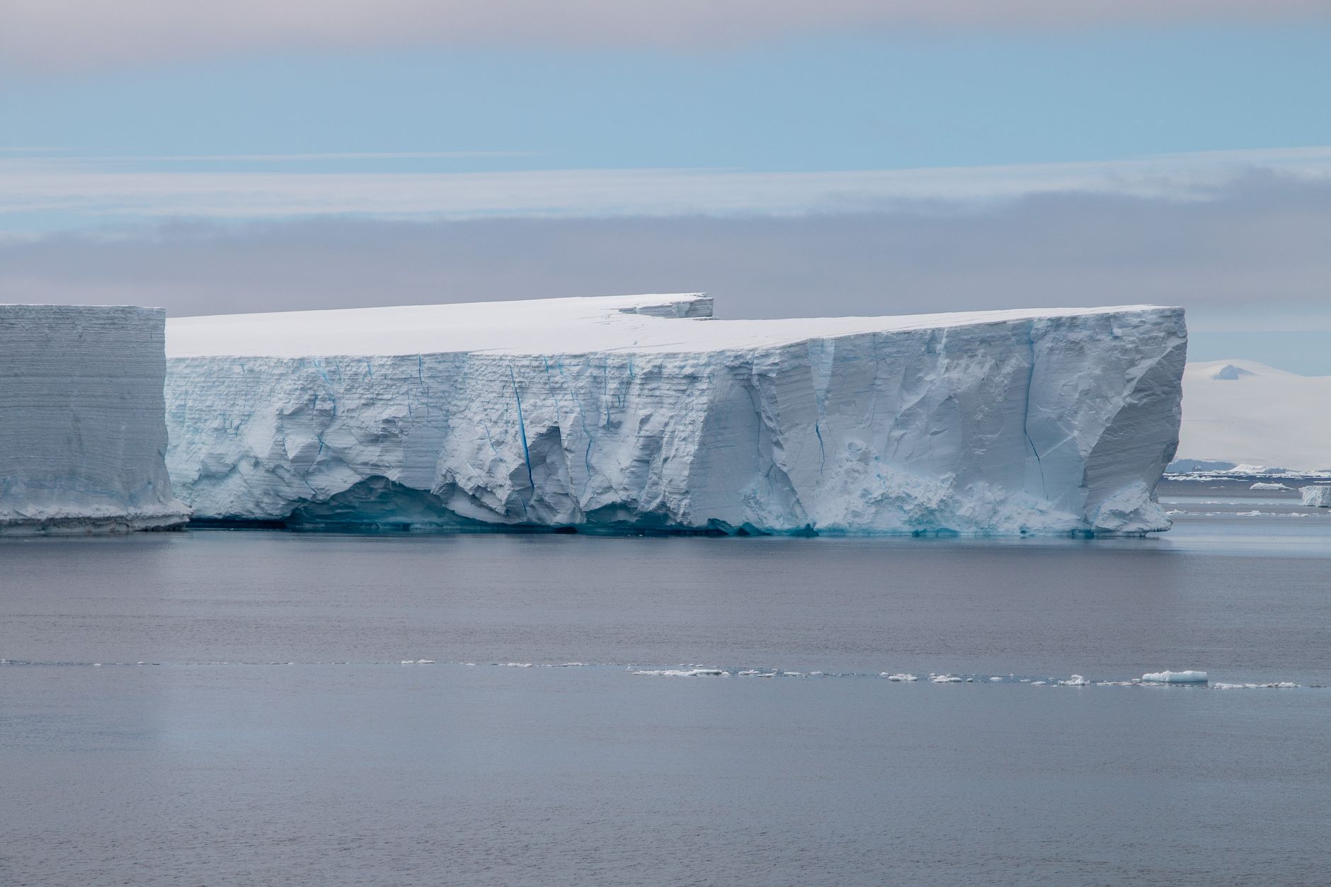 Researchers Uncover Flourishing Marine Ecosystem Following Antarctic Iceberg Detachment in 2025