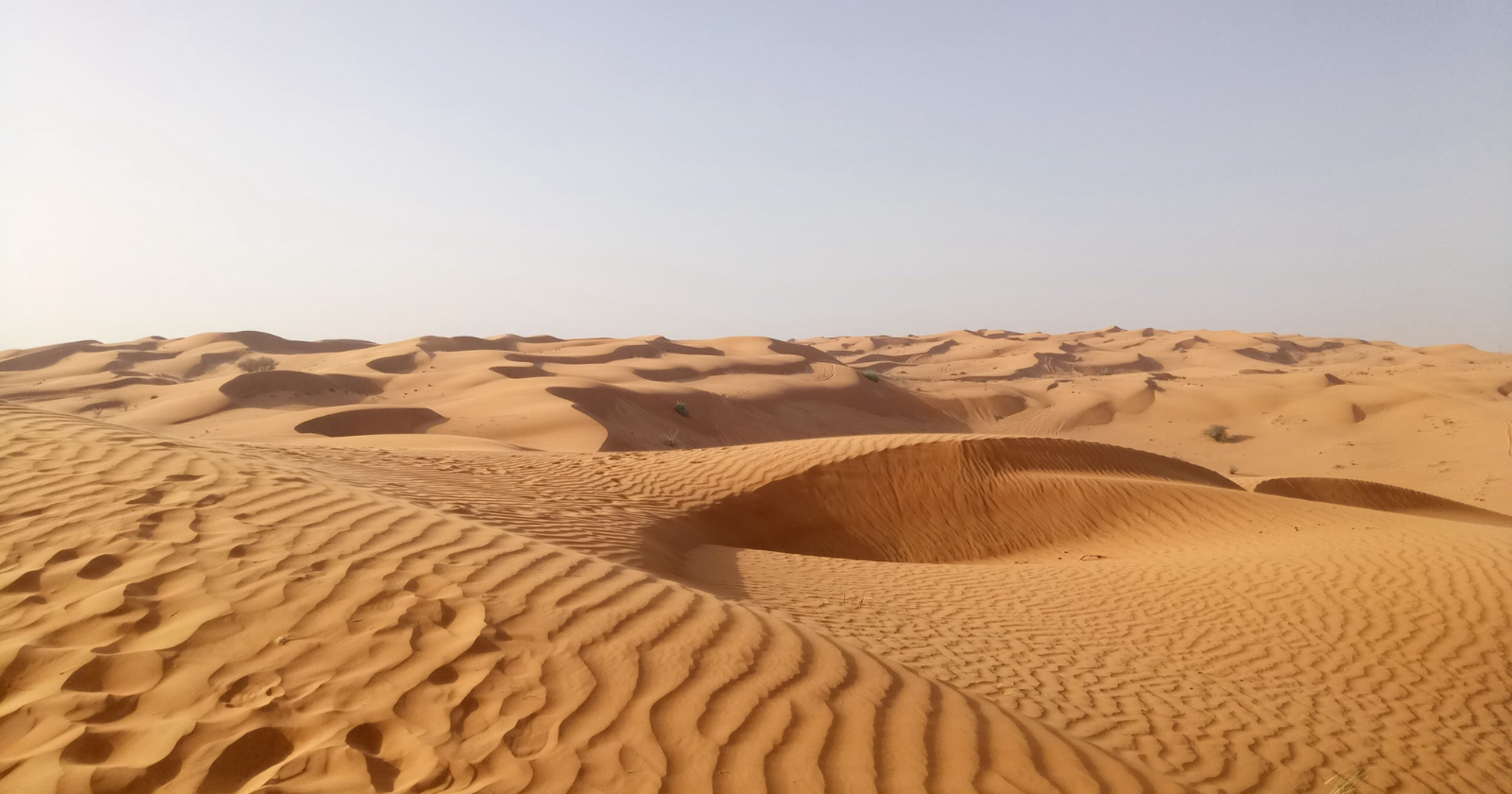 Saudi Arabia Brings in Sand from Abroad; Native Desert Sand Inappropriate for Building because of Form and Surface