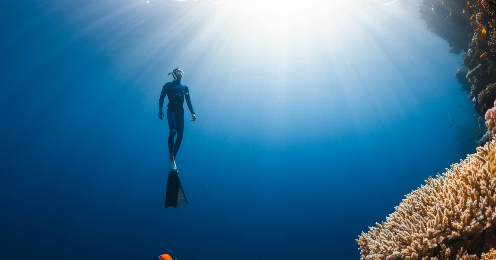 Scientists Uncover First Significant Ecosystem Thriving Without Sunlight Close to Volcanic Vents, Home to White Clams and Giant Tube Worms