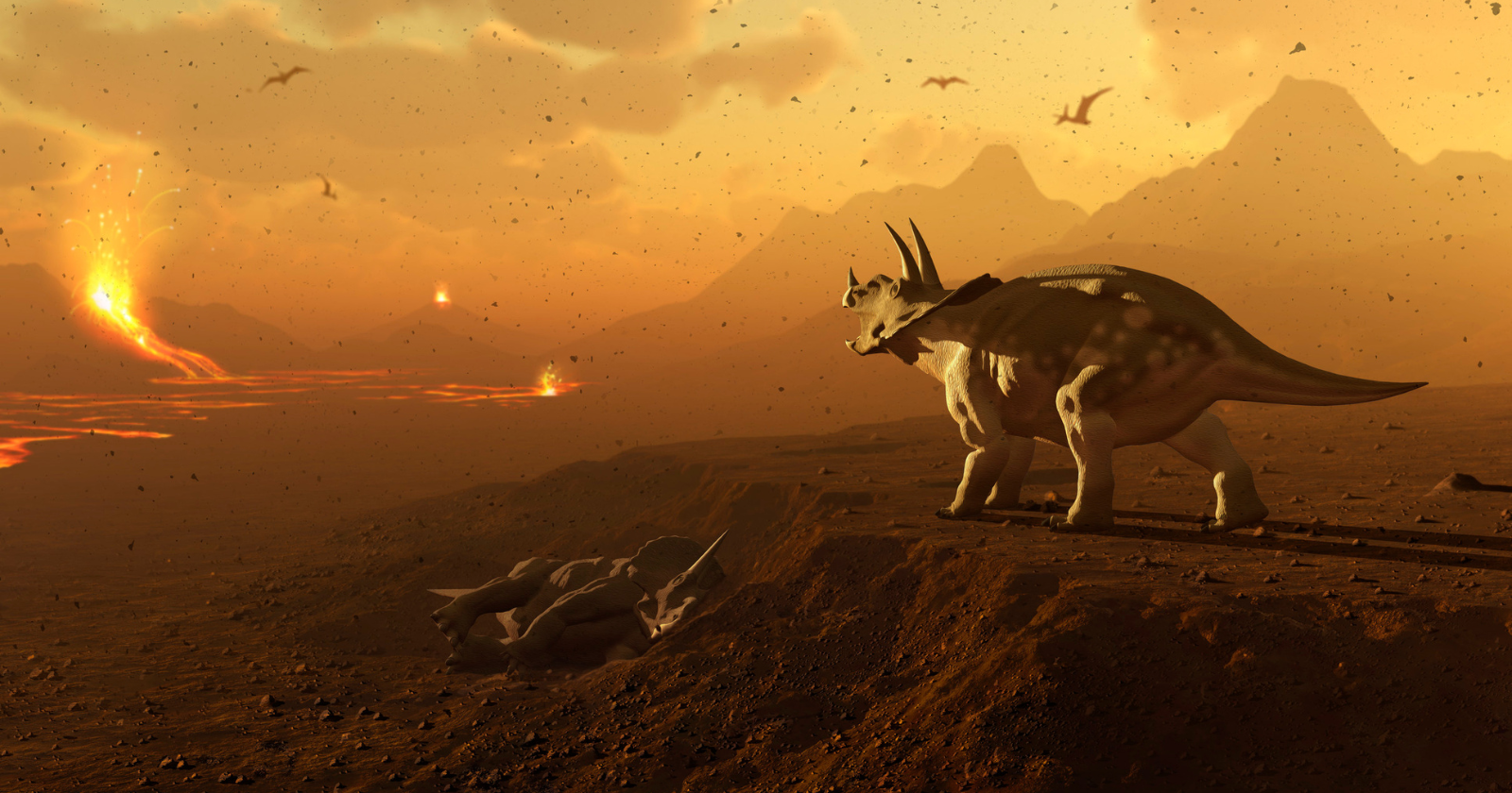 "The Most Powerful Terrestrial Animal: A Snouted, Tusken Being Similar to a Swine and Tortoise"