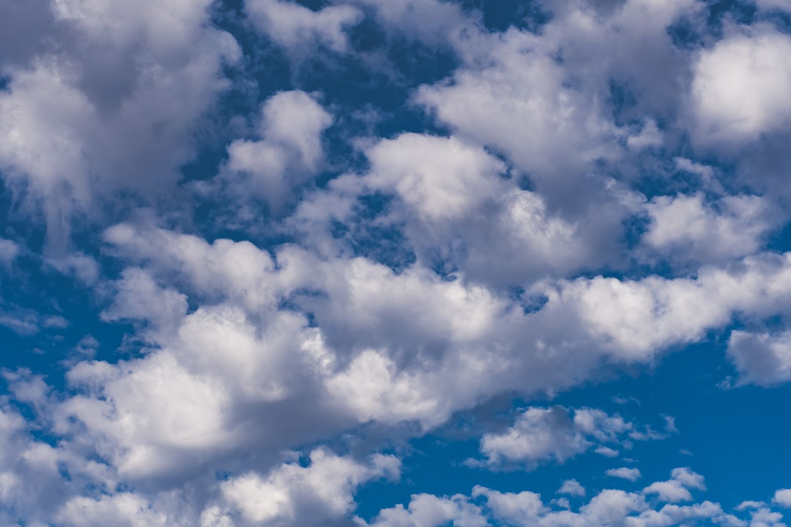 Title: Cumulus Clouds Contain 500 Tons of Water, Equivalent to 100 Elephants, Supported by Minuscule Droplets and Ascending Warm Air