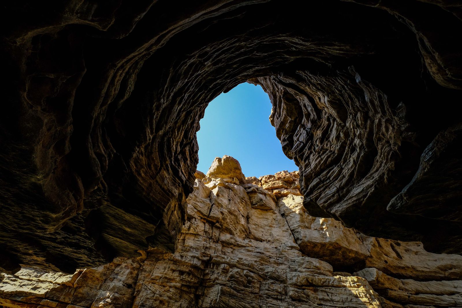 Unveiling the Initial Acknowledged Neanderthal: 1856 Neander Valley Limestone Quarry Discovery Preserved from Ruin by the Efforts of a Local Educator