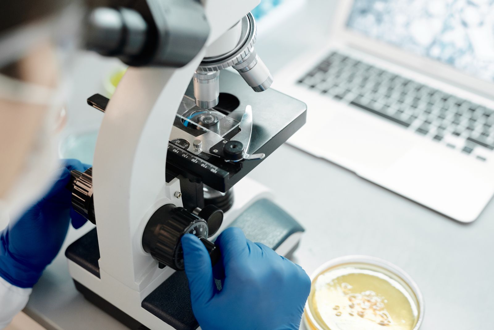"Vitamin B12 is Produced by Bacteria and Archaea, Absent in Plants, and Ingested by Animals via Microbial Origins"