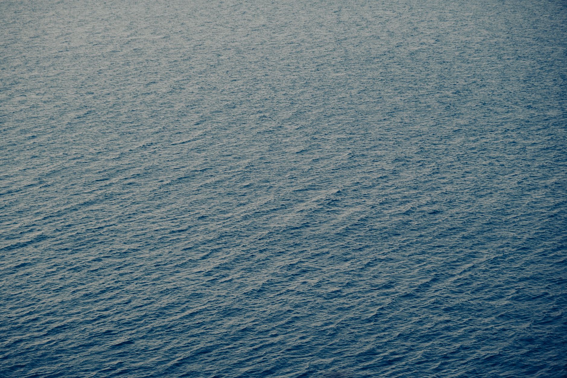 "Wallace J. Nichols Reveals 'Blue Mind': Ten Years of Study on the Calming Impact of Water on Surfers, Sailors, and Swimmers"