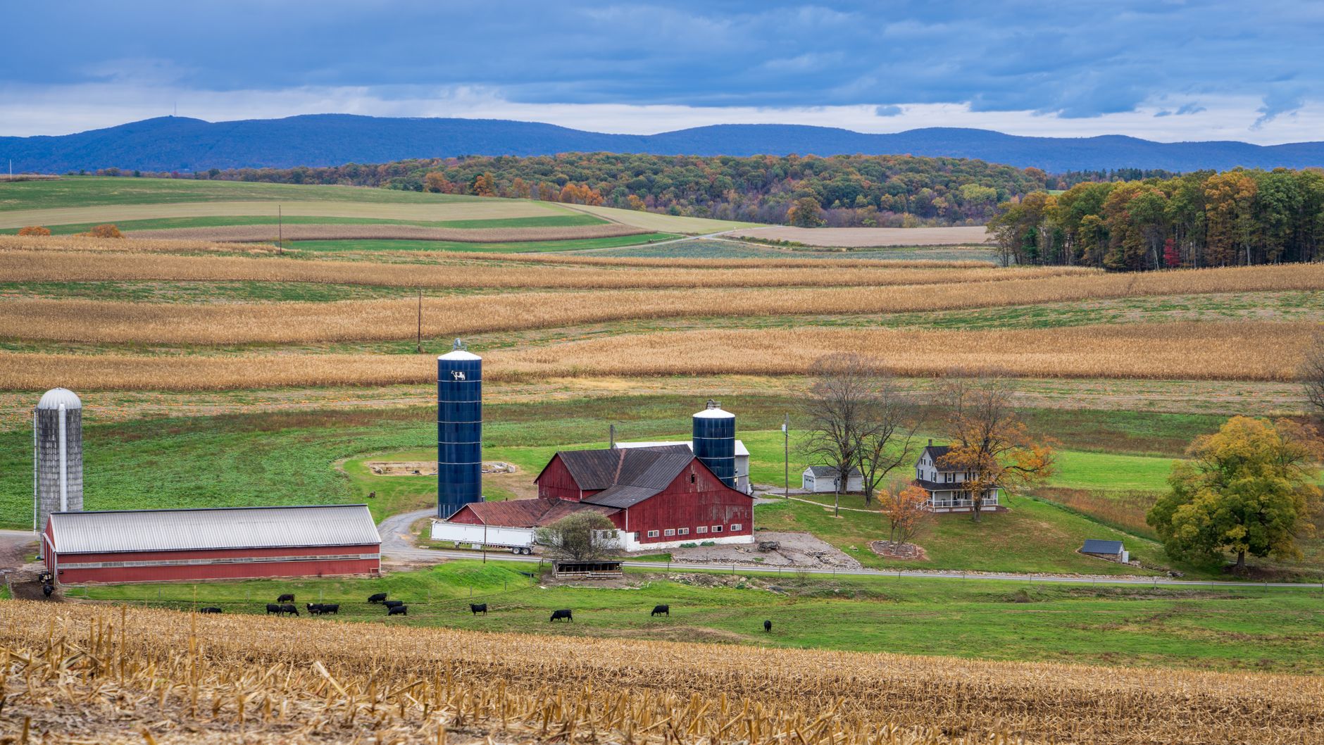 86-Year-Old Pennsylvania Farmer Opts for Land Conservation Instead of $15.7 Million Proposal from Developers, Receives $1.9 Million for Agricultural Conservation Rights