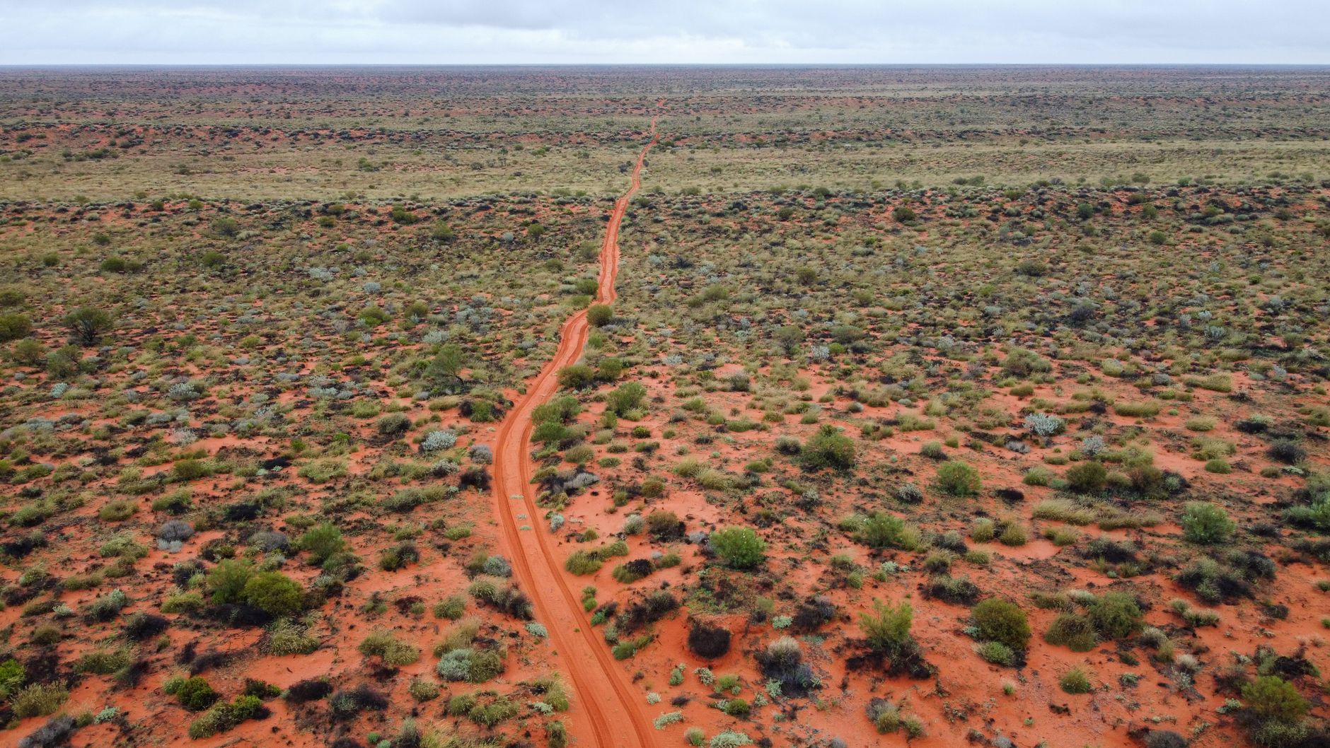 Australia's Enigmatic Fairy Circles Might Suggest Subsurface Hydrogen, A Possible Clean Energy Resource