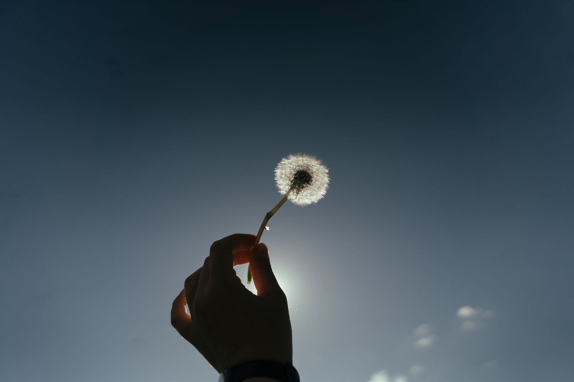 Conquering Fear of Commitment: Insights from Sunk Cost Fallacy and Goal Disengagement Studies Indicate that Releasing Attachments Enhances Wellbeing