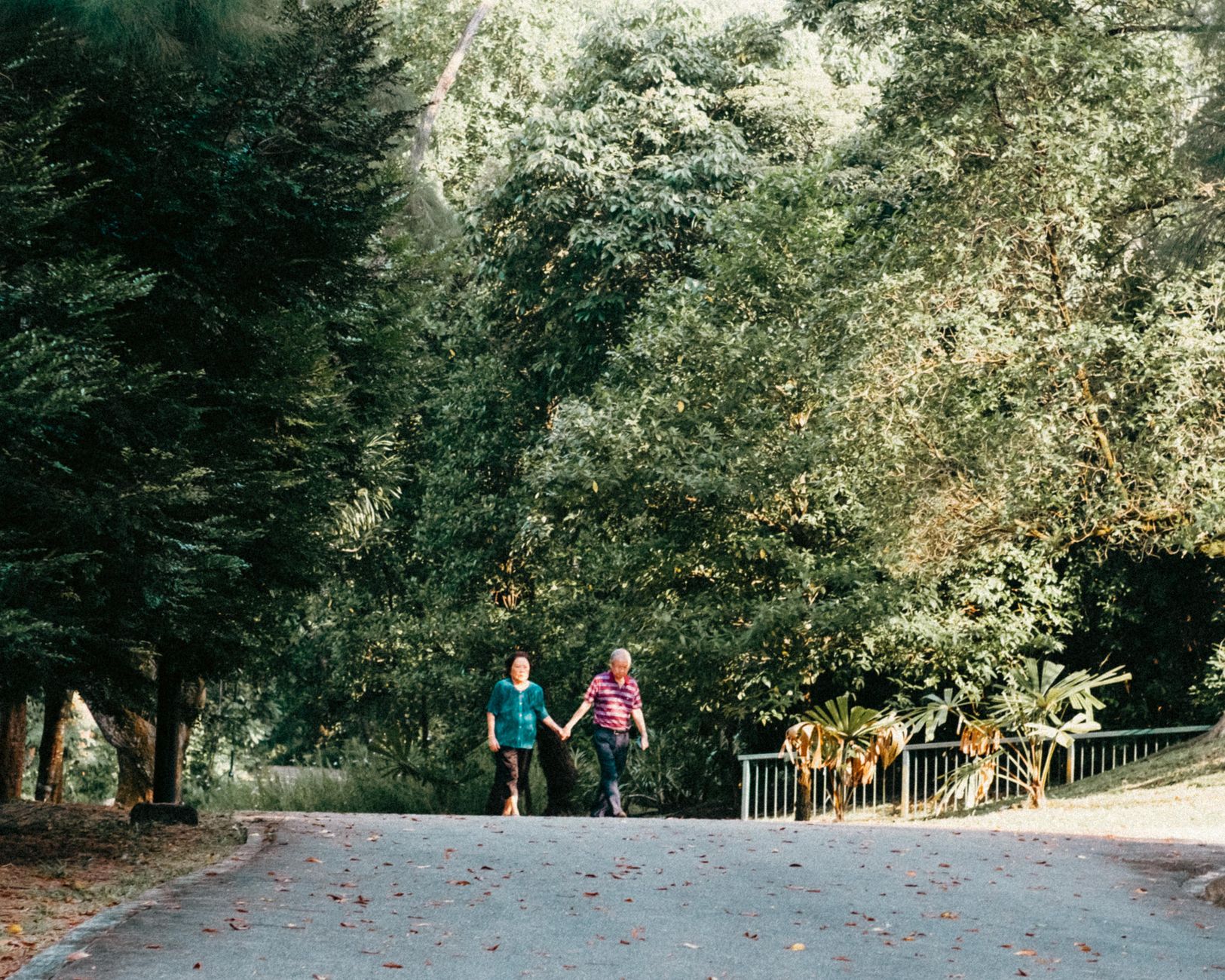 Eight-Week Research Reveals More Smiles and Less Daily Distress in Seniors Concentrating on Awe During 15-Minute Walks, with No Alteration in Depression or Life Satisfaction