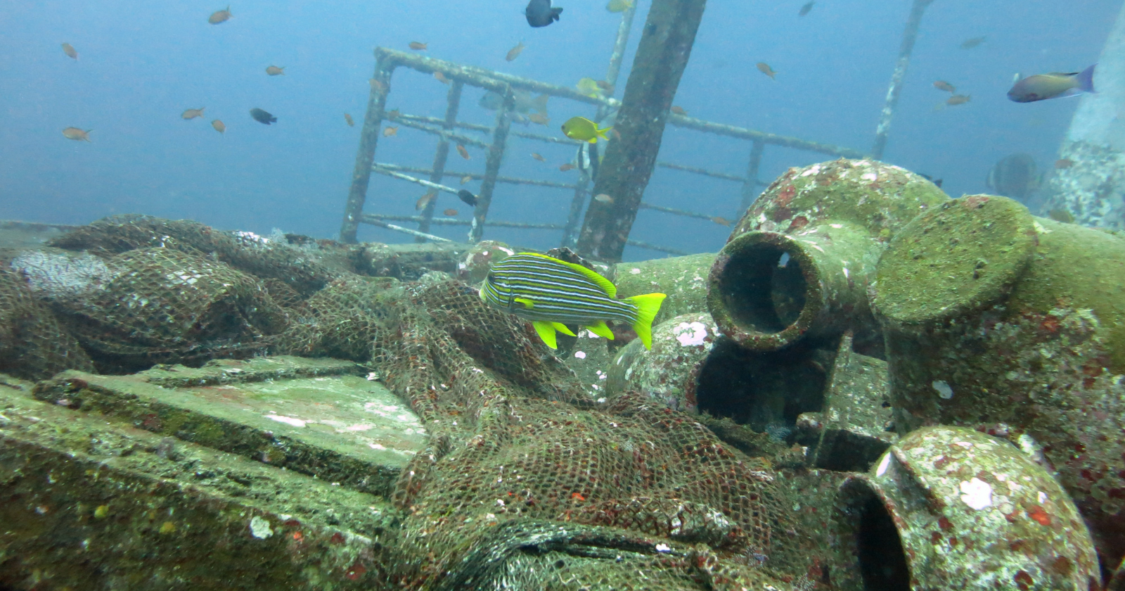 Fisherman Uncovers Historic Roman Trading Vessel Near Sicily's Shore