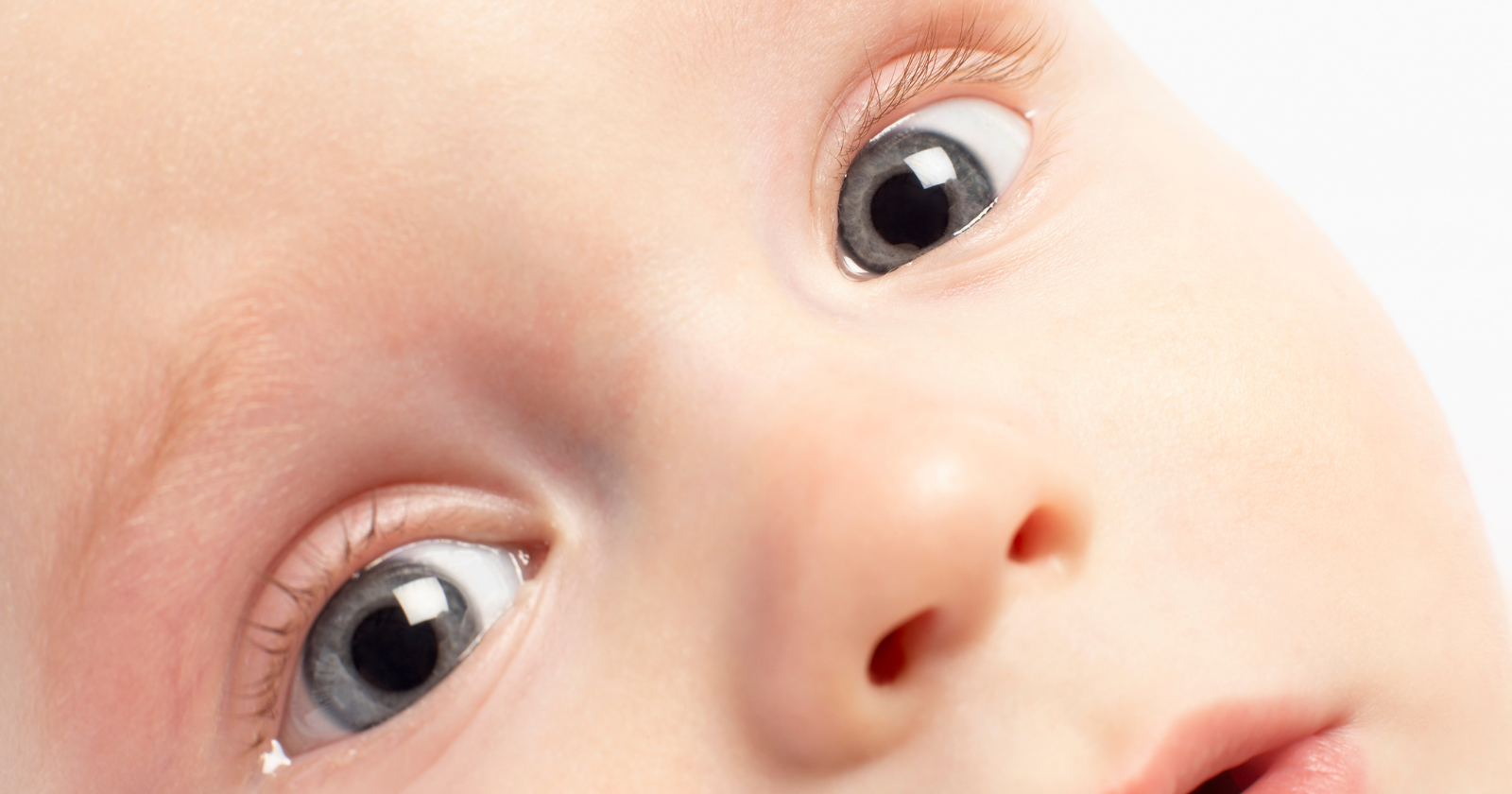 "Infants' Natural Fear Reaction: Six-Month-Olds Display Pupil Dilation to Spider Pictures Compared to Flowers"