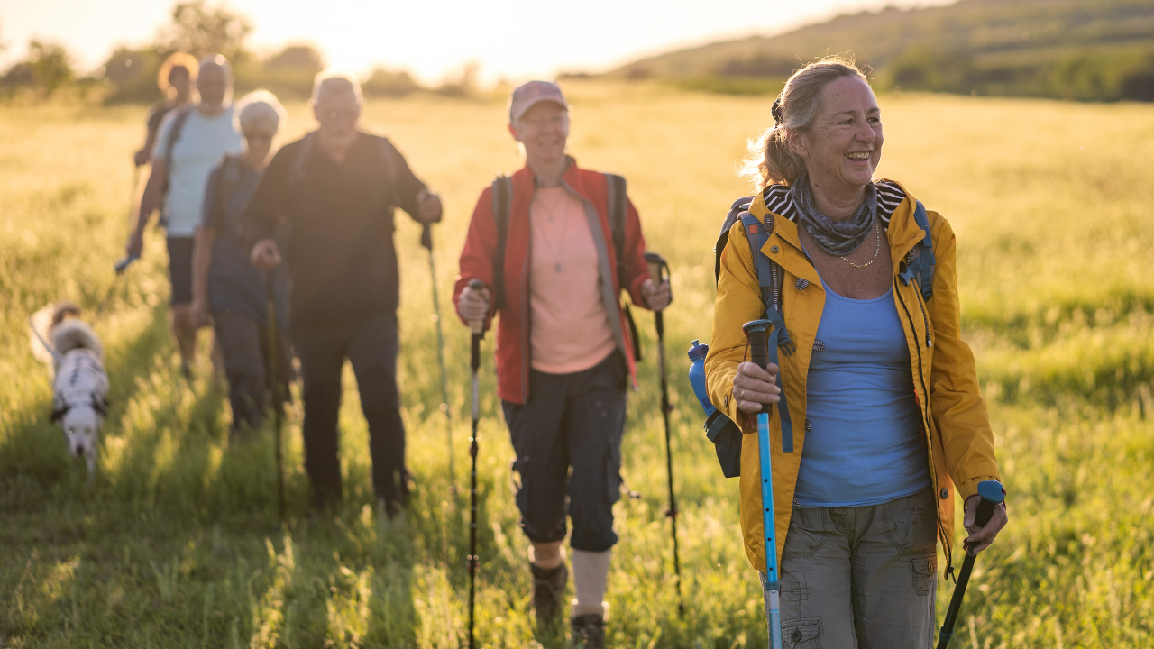 Moderate Physical Activity Enhances BDNF Levels in Seniors, Supporting Neuroplasticity