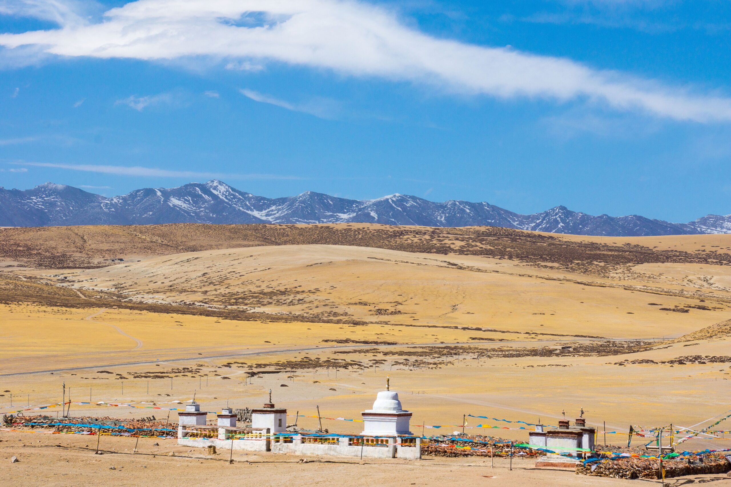 Most Tibetans have a high-altitude adaptation inherited from Denisovans, an archaic human lineage, as a result of interbreeding that resulted in an EPAS1 variant advantageous for survival in the Tibetan Plateau.