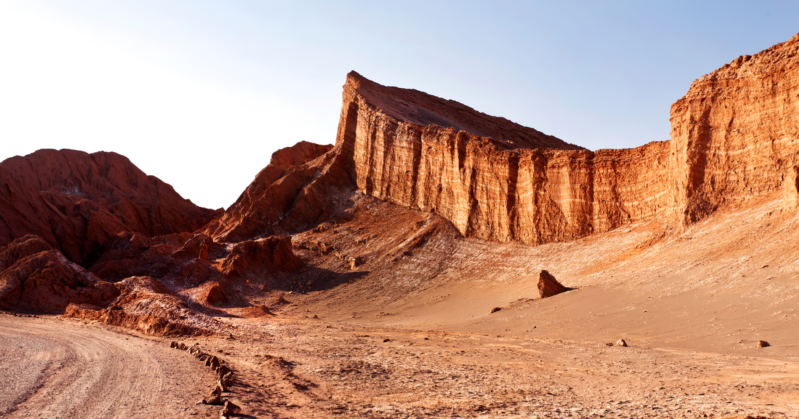 Precipitation in 2015 and 2017 Devastates 87% of Microbial Species in Atacama Desert Following 500-Year Dry Spell