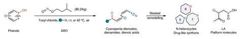 Reagent Transforms Phenol Rings into Compounds Containing Nitrogen