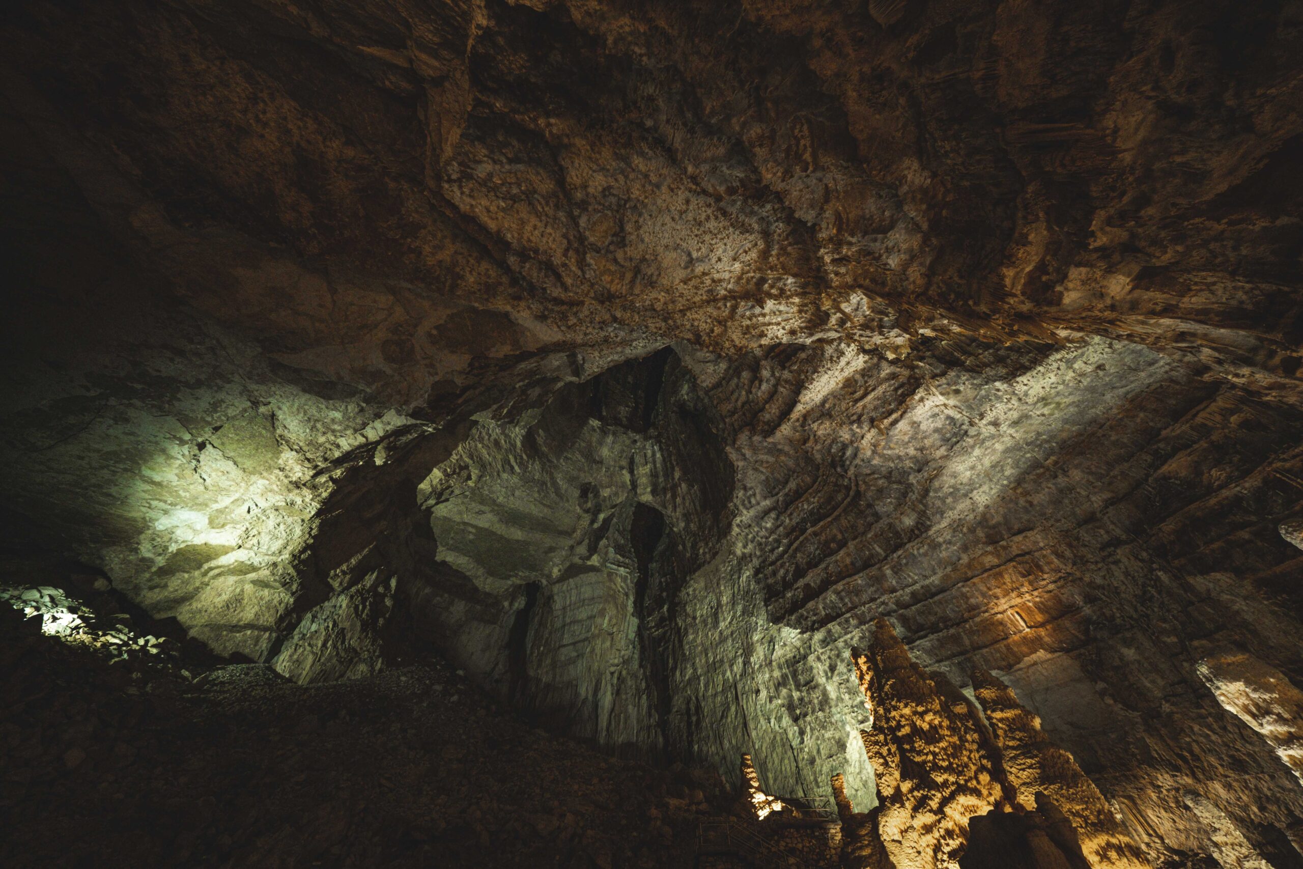 Researchers Uncover 75,000-Year-Old Fossils of Polar Bears, Walruses, Bowhead Whales, and an Unprecedented Extinct European Lemming in a Cave in Scandinavia
