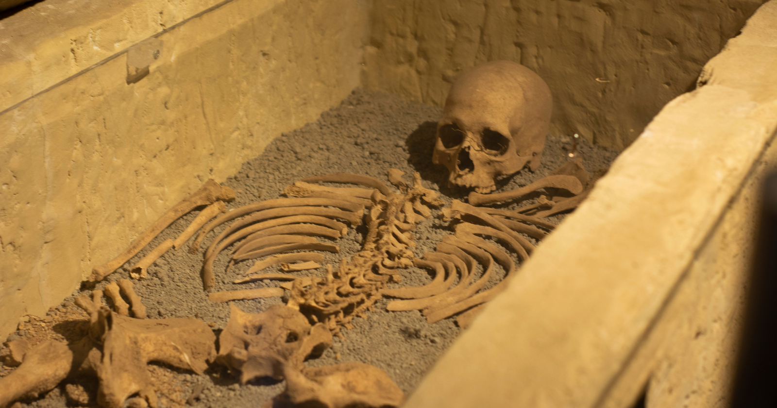 Resurrected 39,000-Year-Old Hunter from Siberian Ice Dubbed "Spirit of the Earth's Horizon," Showcasing Ultra-Fine Spines