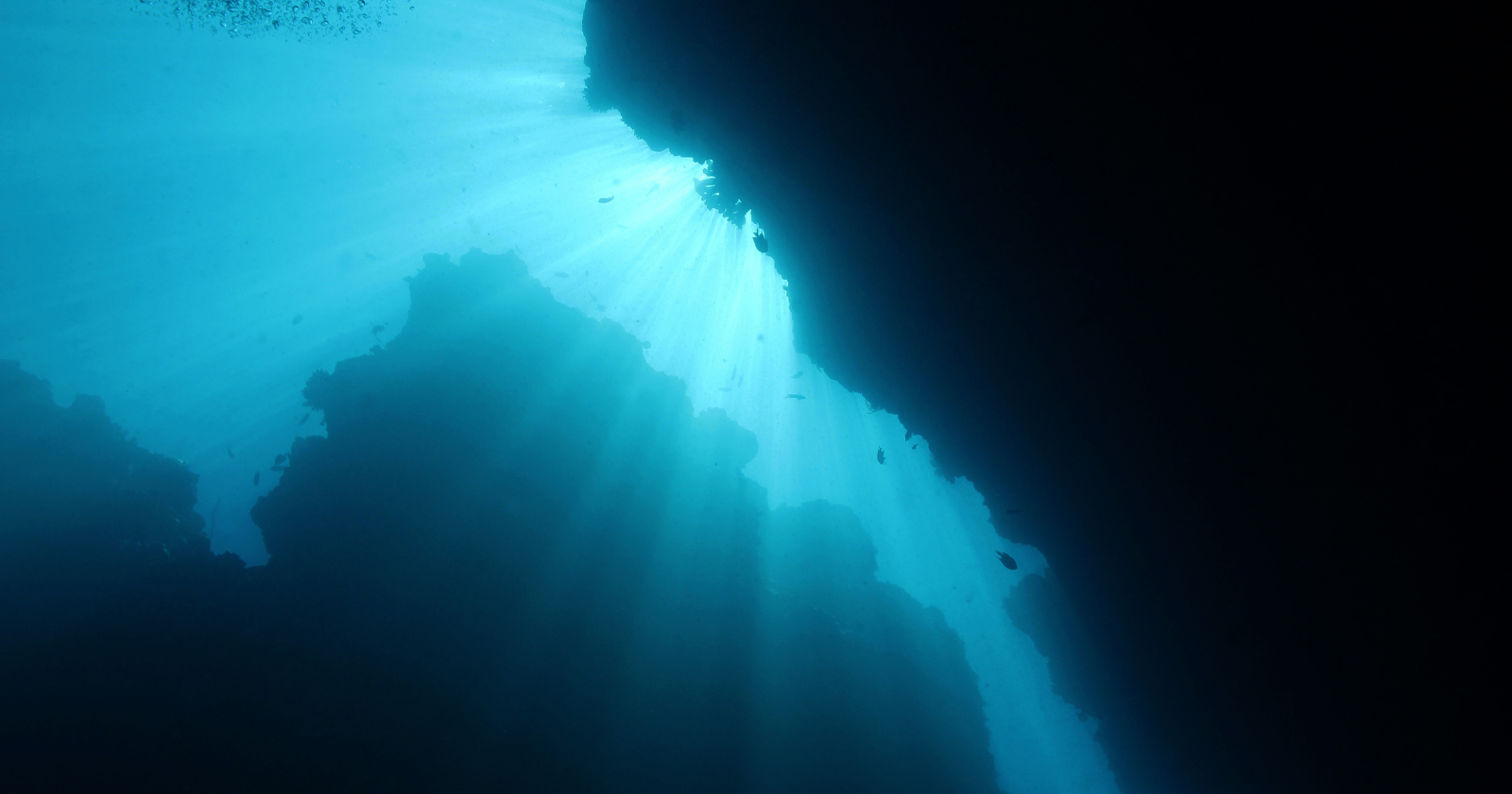 Robotic Investigation Uncovers Massive Lava Areas and Seabed Alterations Surrounding Active Pacific Volcano