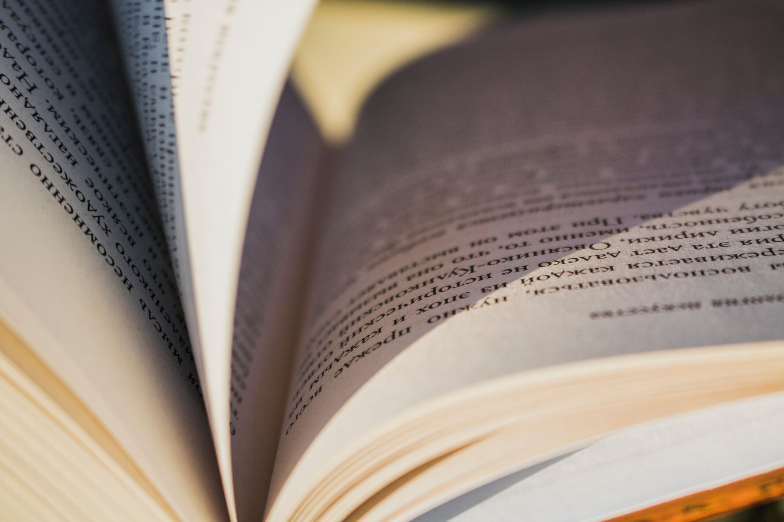 Title: "Extensive Vocabulary Associated with Elevated Intelligence Assessment Results: 10 Terms That Evaluate Verbal Proficiency"