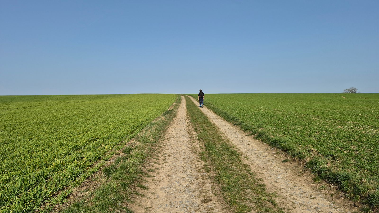Two Varieties of Quiet Withdrawal: Endorsed Brief Intermissions vs. Less Fulfilling Connections Due to Ongoing Silence