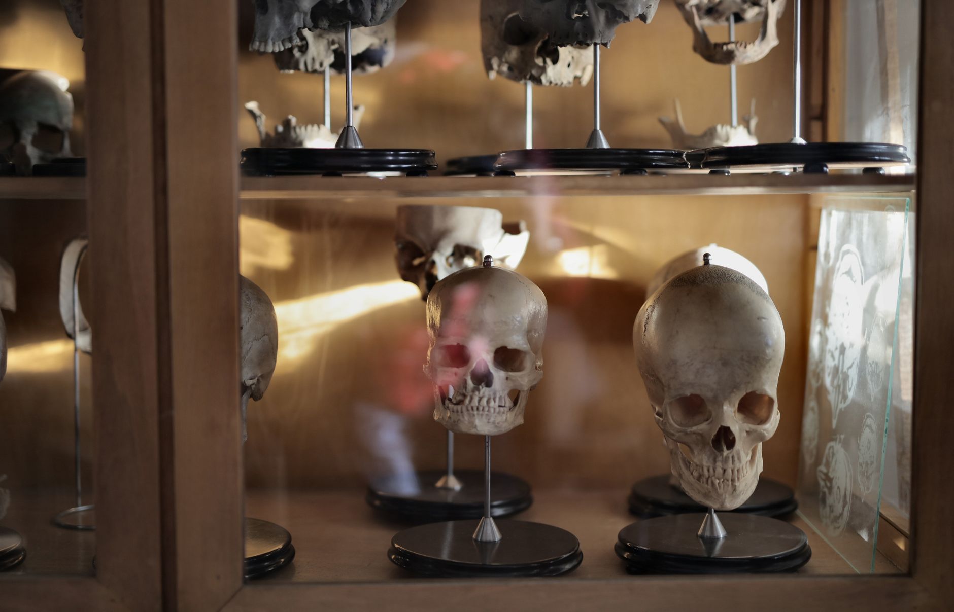 UC Berkeley Scientists Map Human Evolutionary Lineages by Analyzing 503 Genomes, Uncovering DNA from Two Previously Unknown Ancient Lineages