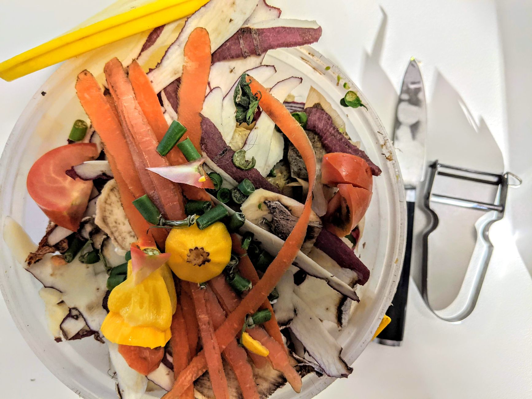 University of Tokyo Creates Edible Construction Materials from Dehydrated and Compressed Food Waste More Resilient than Concrete