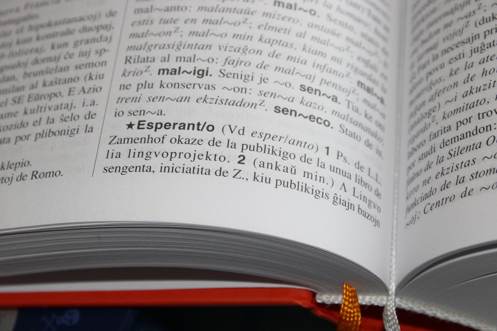 "Vocabulary Size: An Essential Indicator of Overall Intelligence Demonstrating Cognitive Capacity"