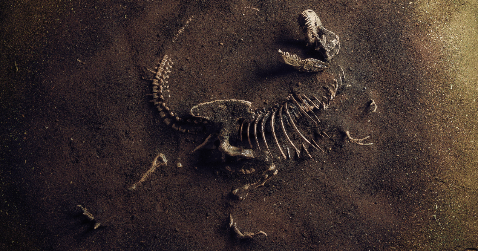 "11-Year-Old Ruby Reynolds and Her Father Uncover 25-Meter Ichthyosaur Jawbone in Somerset, England"