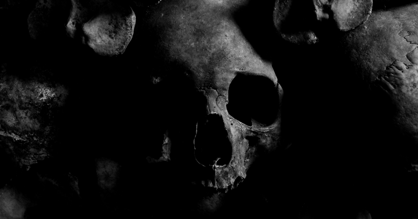 Ancient Jawbone and Reconstructed Cranium Question Human Evolution Timeline
