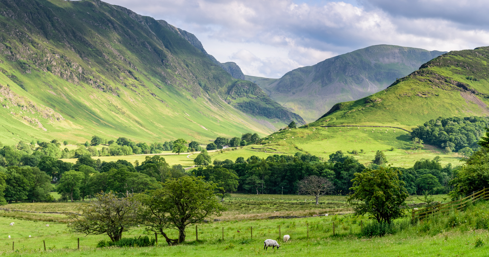 Beatrix Potter's Contribution to Hill Top Farm and Troutbeck Park Safeguarded Herdwick Sheep and Aided Conservation Initiatives via the National Trust