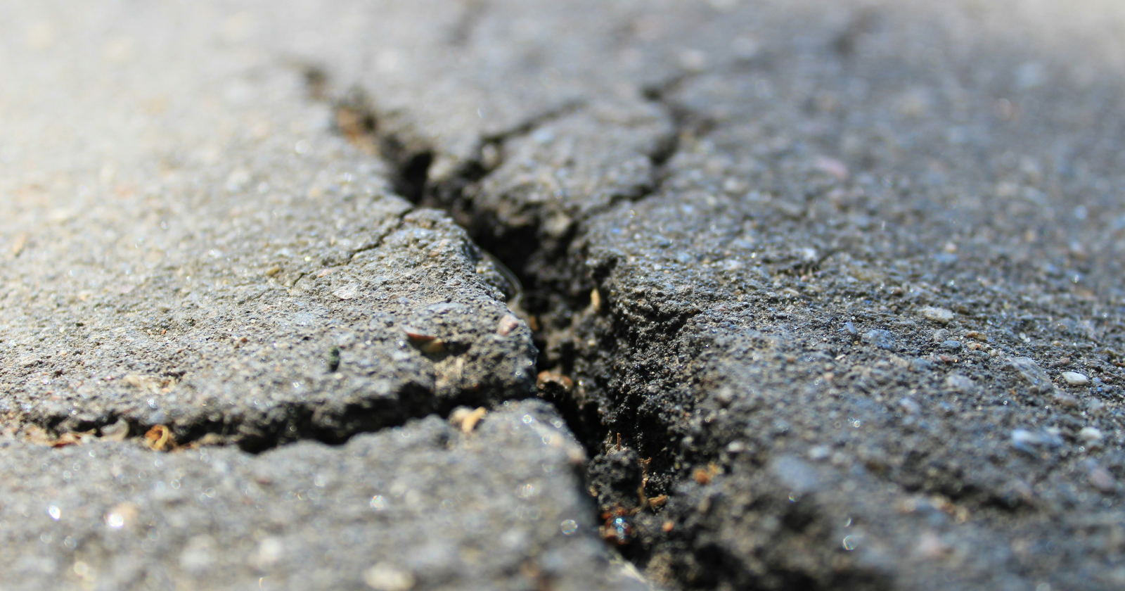 California Student Creates Budget-Friendly Seismometer That Identifies Earthquakes Close to Los Angeles