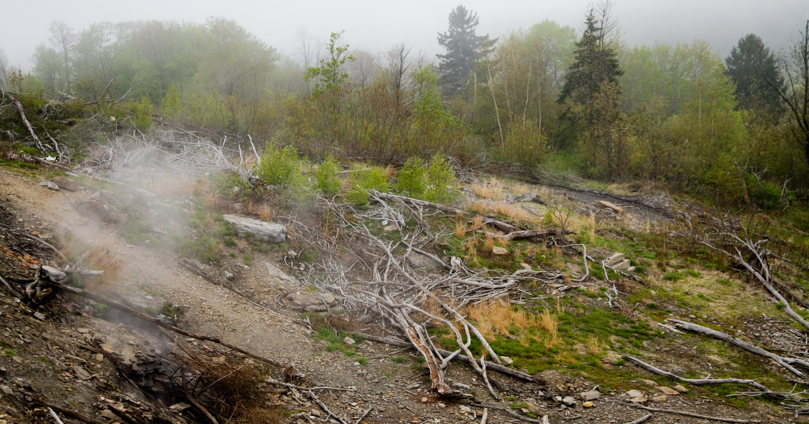 Congress Designates $42 Million for Centralia Relocation Amid Ongoing Coal Fire; Eight Residents Agree to $349,500 Settlement to Stay