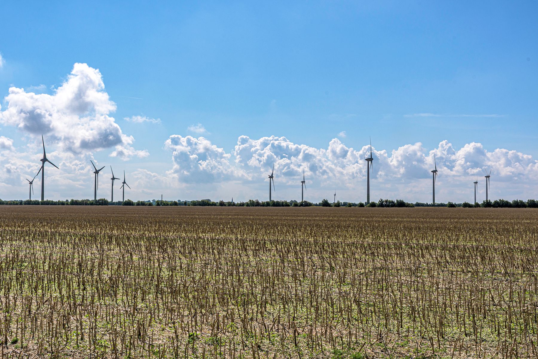 Damage from Wind Turbine Development in Midwestern Cornfields: Farmers Find Cut Drainage Lines Resulting in Saturated Areas