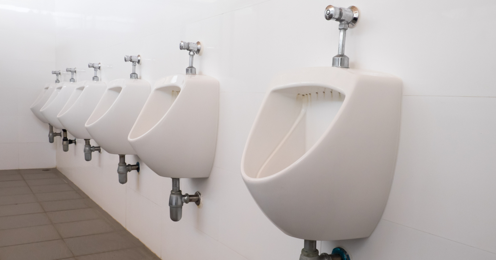 Dutch Research Centre Converts Human Urine from Workplace Toilets into Energy and Nutrients, with Possibility for Hydrogen Generation