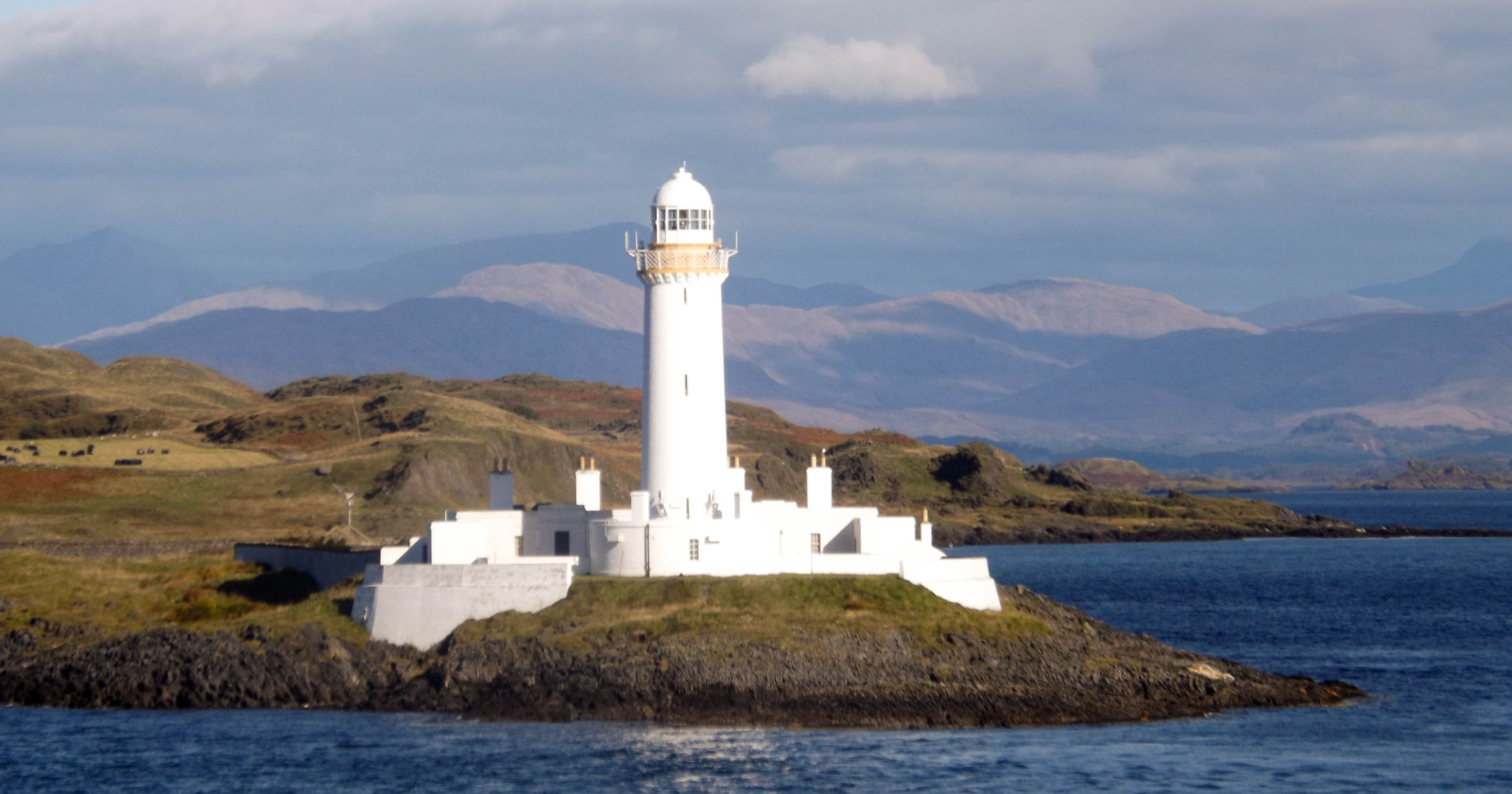 Early 20th-Century Avian Observation Logs of Scottish Lighthouse Keepers Maintained by Scottish Ornithologists' Club