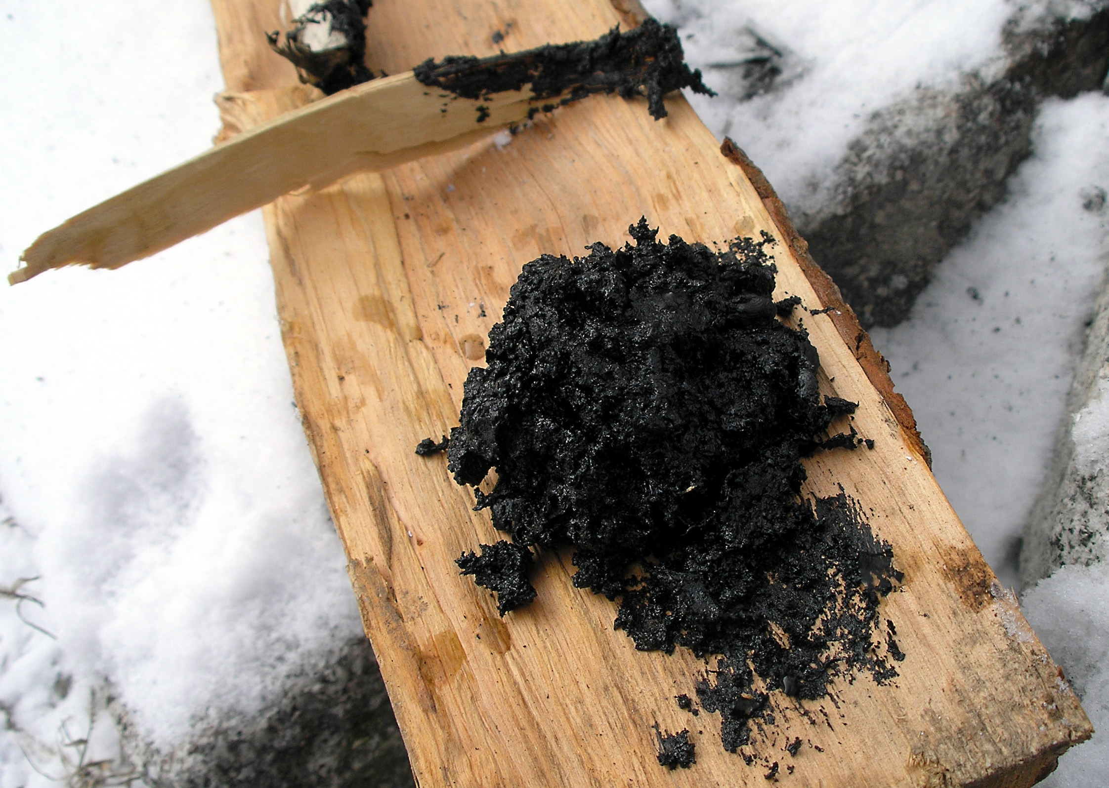 Entire Genome of 5,700-Year-Old Female Uncovered from Masticated Birch Tar Discovered on Danish Isle, Suggests Her Dark Pigmentation, Blue Iris, and Nutritional Intake of Duck and Hazelnuts