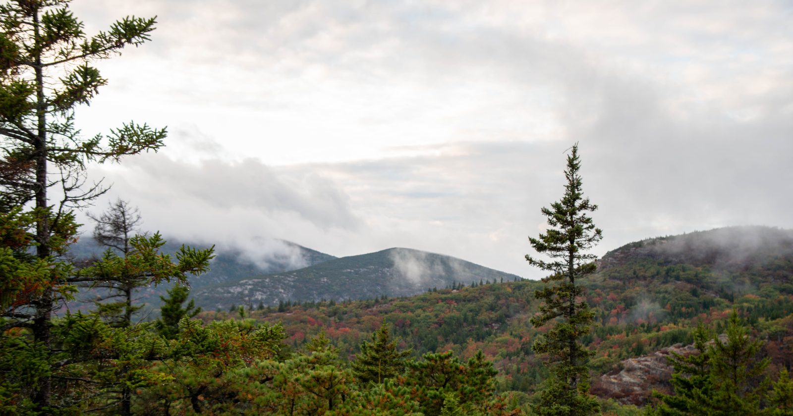 "Ex-Governor of Maine Establishes 201,018-Acre Preserve Using Personal Finances from 1930 to 1962, Guaranteeing its Wildness Stays Intact"