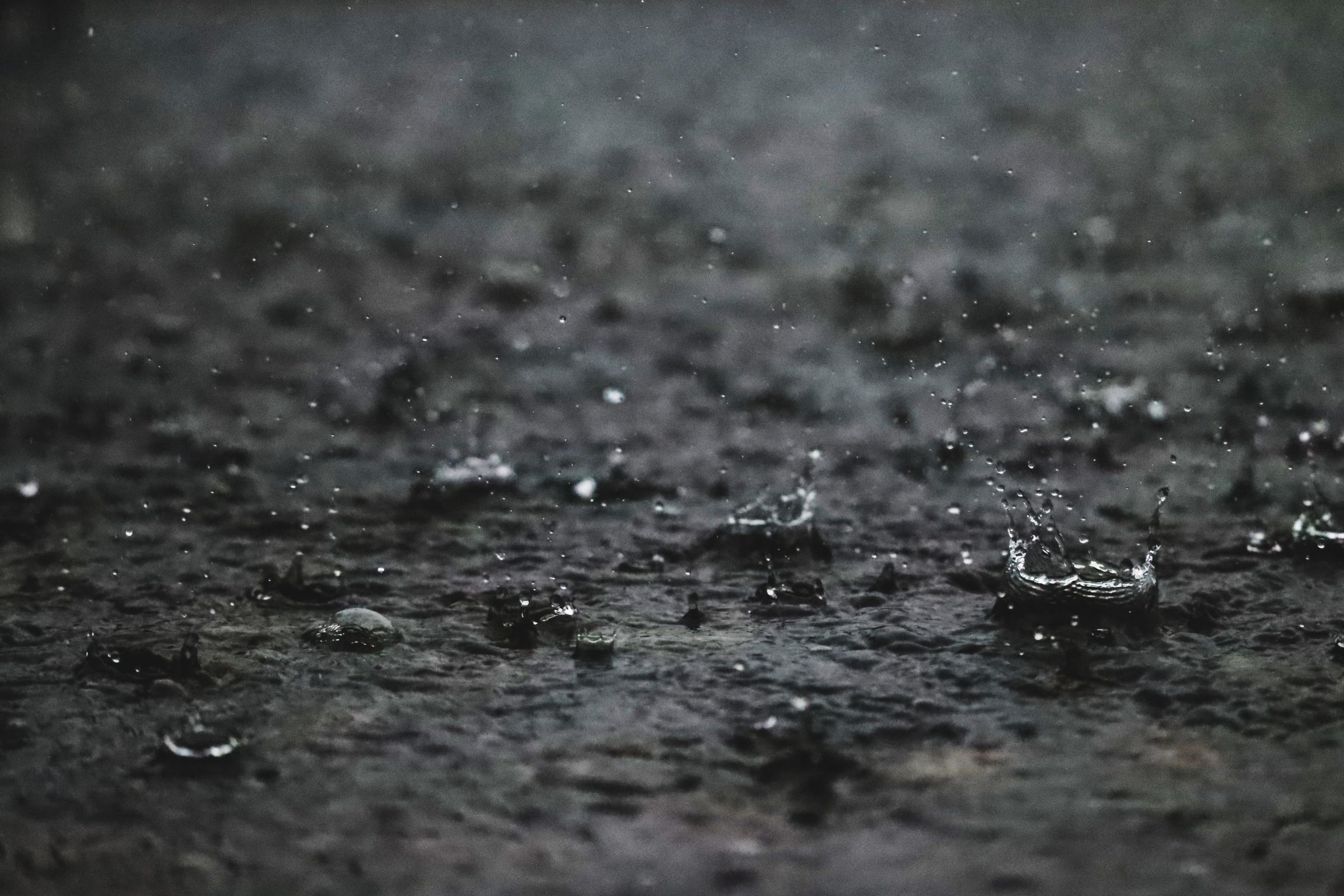Gentle Rain Results in Increased Bacteria Aerosolization Compared to Heavy Rain by Enclosing and Bursting Bubbles